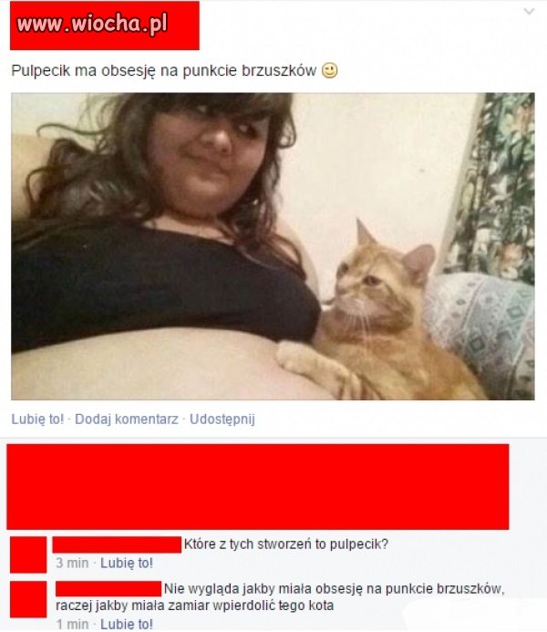 Pulpecik