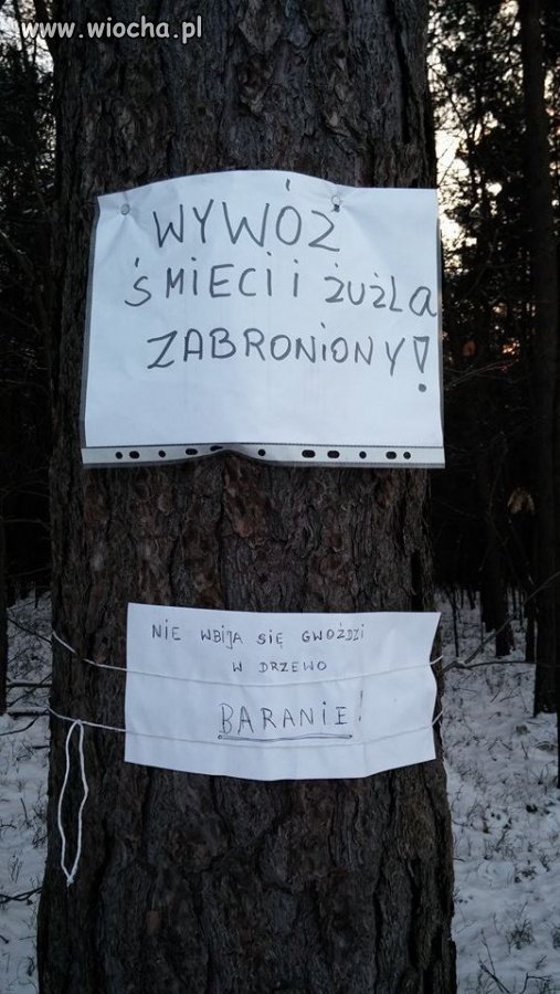 BARAN