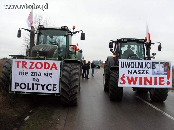 Popieram bo stawki są żałosne