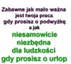 Złota myśl