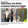 Warszawski strażnik bulwarowy