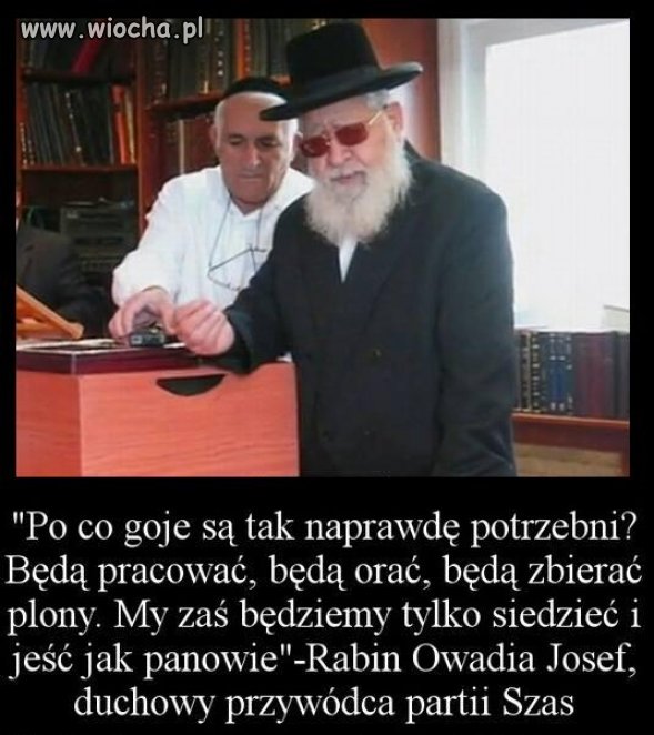 Rasa Panów... ale to my jesteśmy antysemitami.