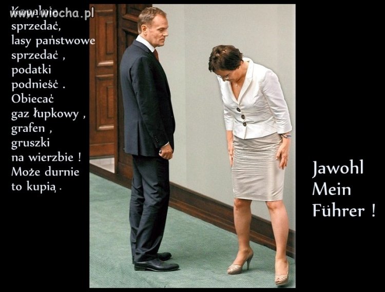Pan i Kopacz 