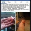 Teraz jestem pewien...