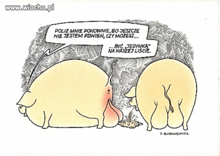 Cała prawda o tych...