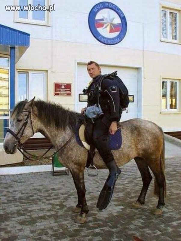 Kawaleria podwodna.