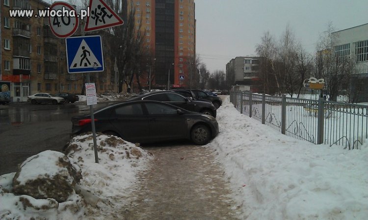 Mistrzowie parkowania 