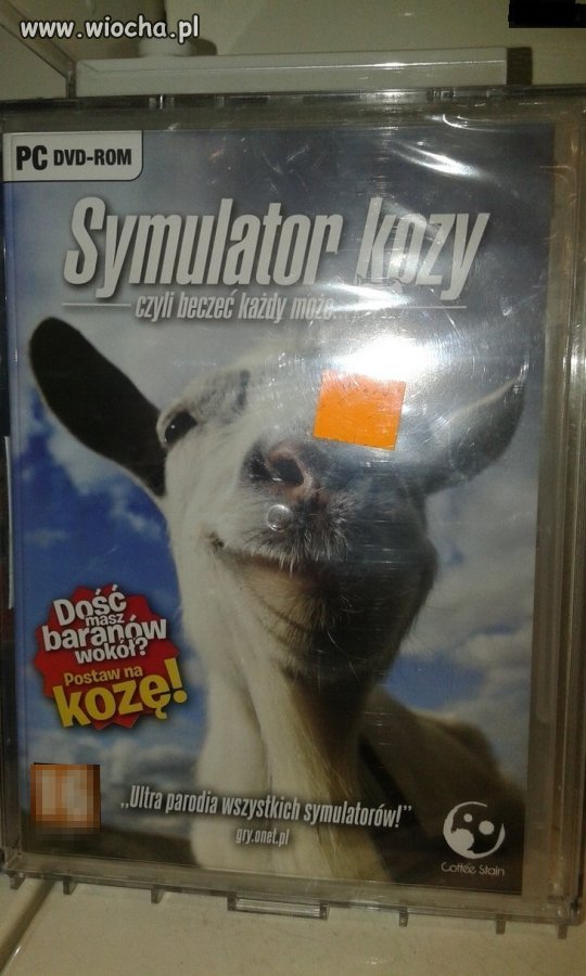 Nasz eksportowy hit