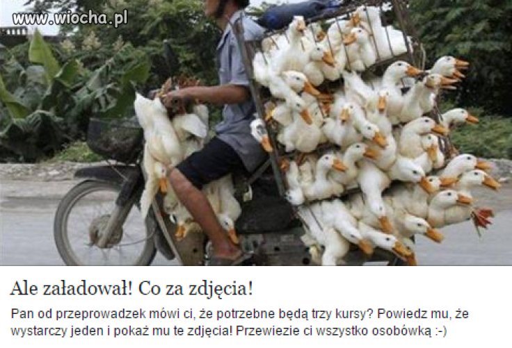 Można? 