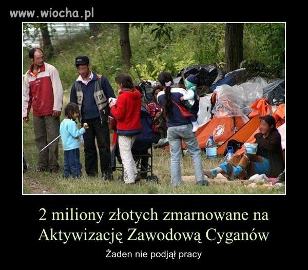 Zabrać socjal, problem z głowy.