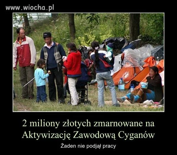 Zabrać socjal, problem z głowy.
