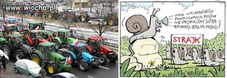 Tak ludzie walczą o swój byt...