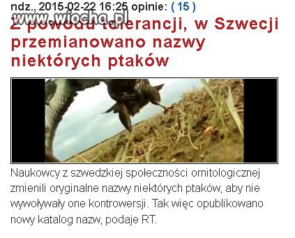 W Szwecji chłopaki uważają na ptaki.'