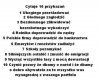Dekalog Rządu