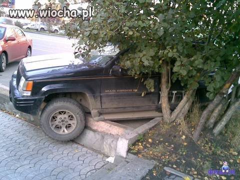 Mistrz.