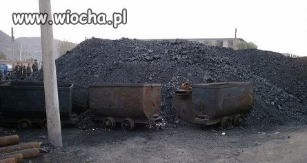 SkładyWęgla. Twórca spółki kierował grupą przestępczą