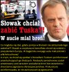 Zwykły Słowak