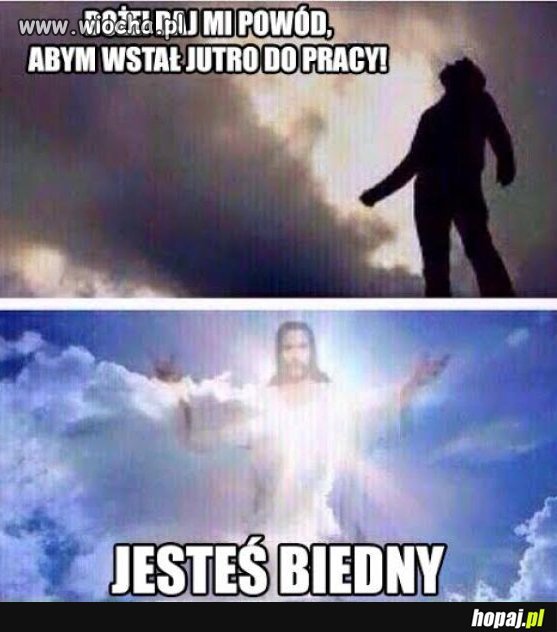 Jeden powód 