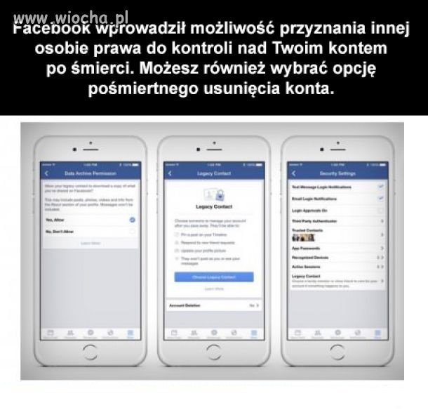 Ciekawe 