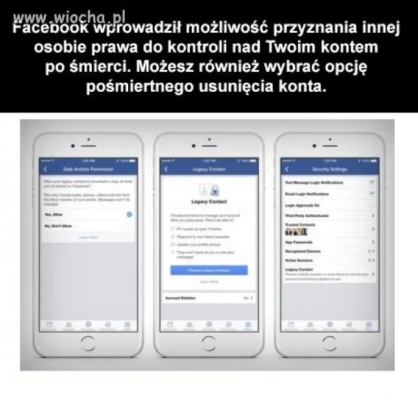 Ciekawe 