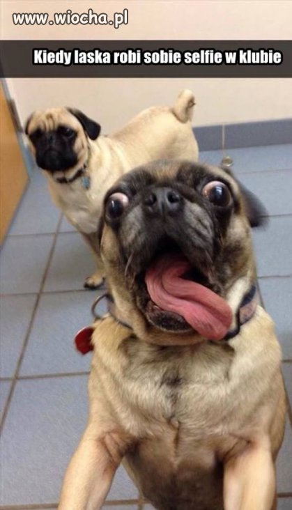 Kiedy dziewczyna robi sobie selfie