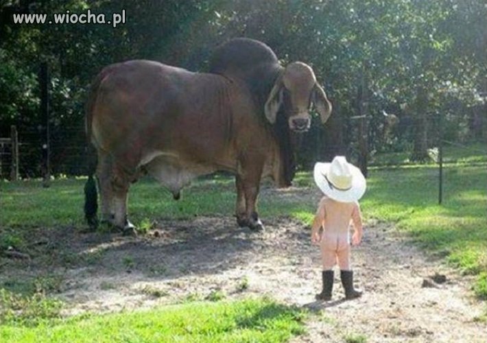 Farm.