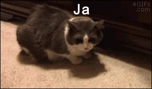    ZUS   