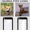 Sa dwa typy ludzi