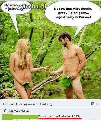 Komentarz rozwalił system...