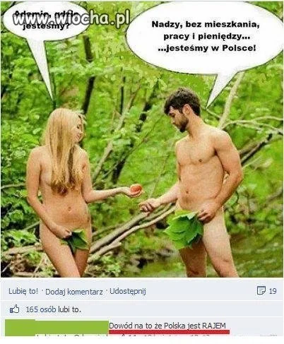 Komentarz rozwalił system...