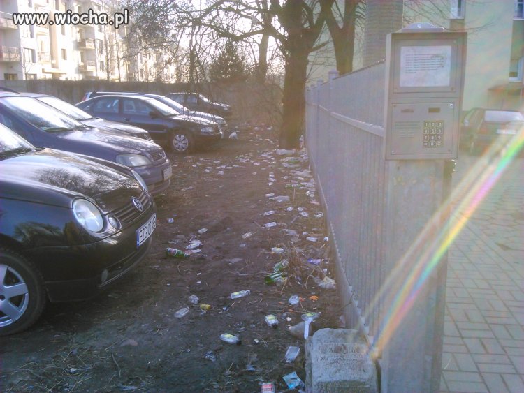 Śnieg stopniał a "kwiatki" zostały... 