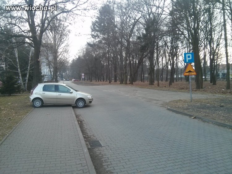 Miszcz parkowania! 