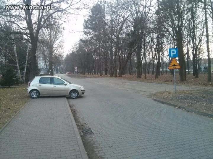 Miszcz parkowania! 