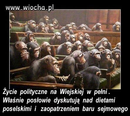 Nasz Kwiat Polityki 