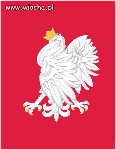 Tak wygląda godło na Wiejskiej.