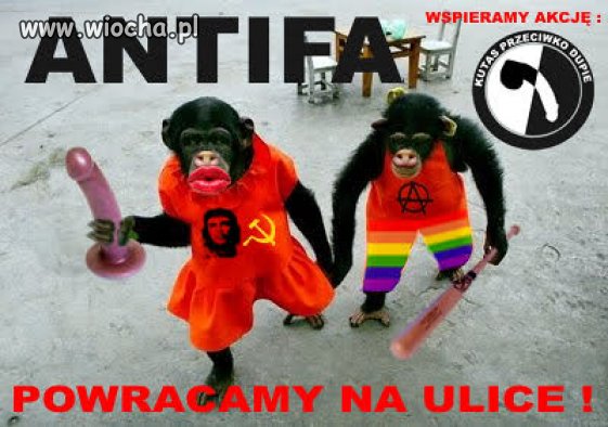 Antifa wychodzi na ulicę