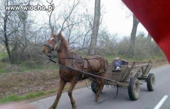 Ostra jazda bez trzymanki