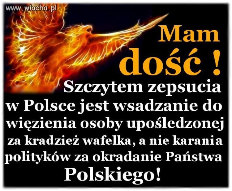 A politycy się śmieją .