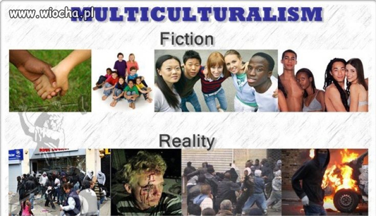 Prawdziwe oblicze multikulti