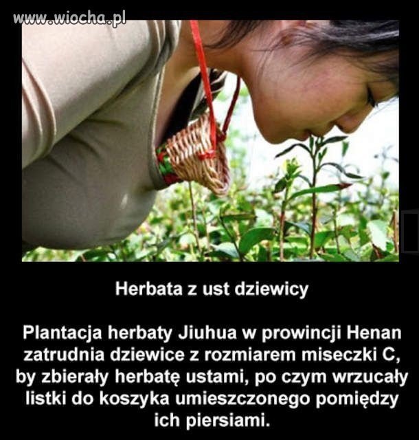 Zboczony naród 