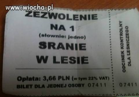 Jeśli sprzedadzą lasy to...