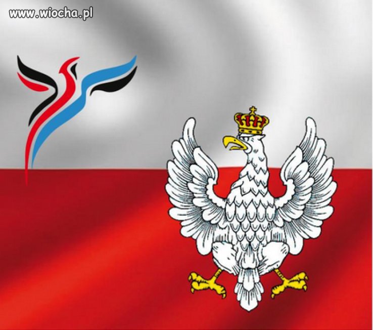 Jedyne możliwe rozwiązanie 
