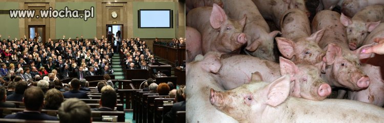 Znajdź jedną różnicę...