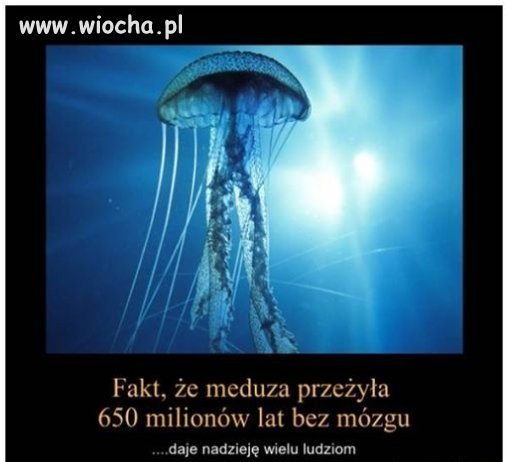 Dobra wiadomość dla normalnych inaczej.