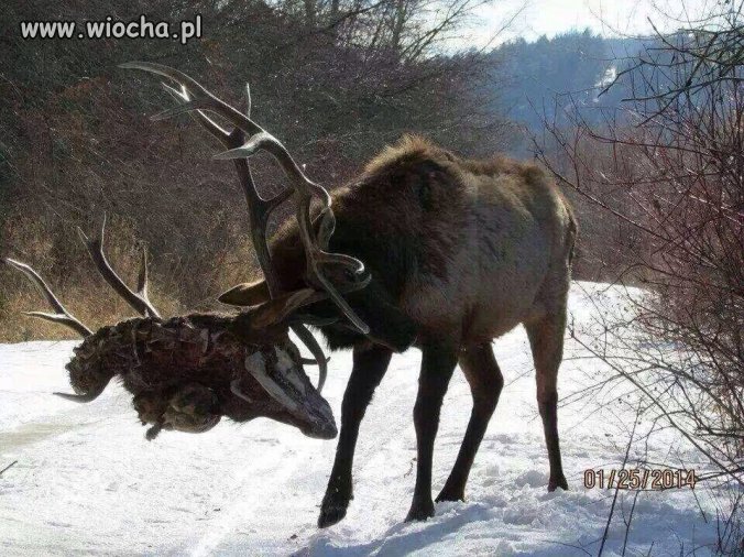 Bo we dwoje zawsze raźniej