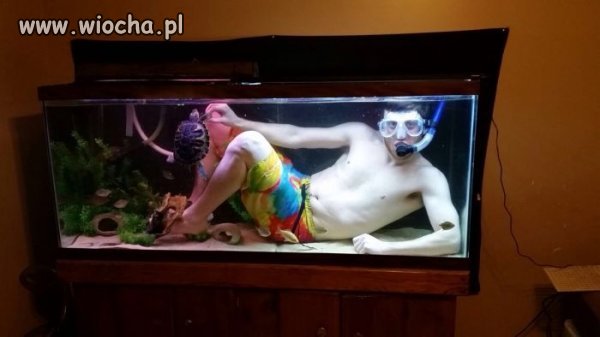 Wielu idiotów widziałem w necie...