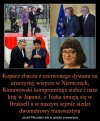 Sorry takich mamy polityków...
