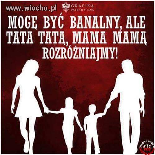 Wszystko w temacie