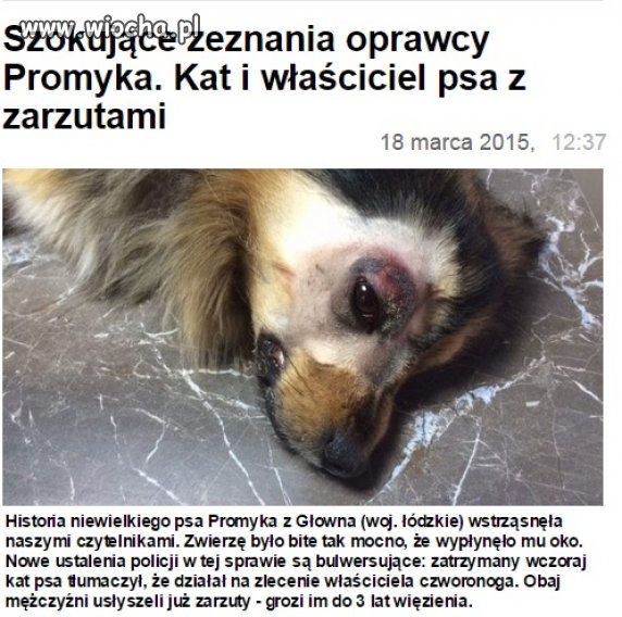 Działał na zlecenie