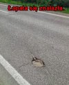 A tyle było szukania ...